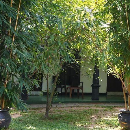 Sandra Guesthouse Dambulla Exteriér fotografie