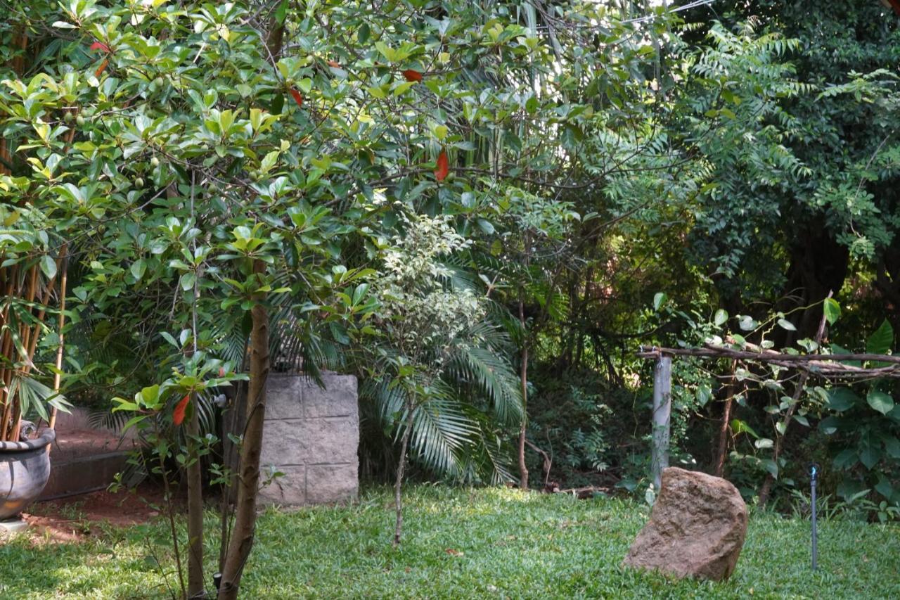 Sandra Guesthouse Dambulla Exteriér fotografie