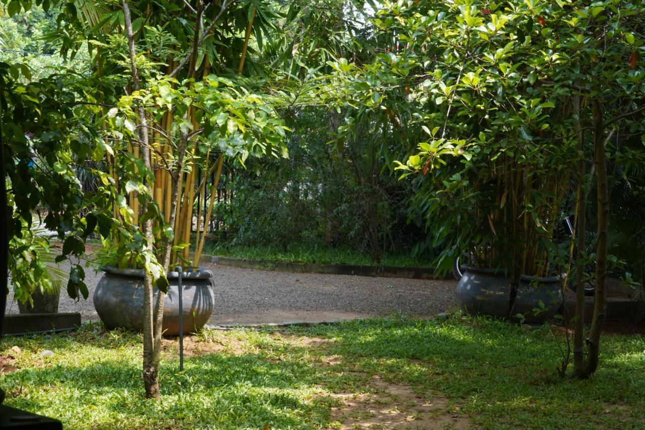Sandra Guesthouse Dambulla Exteriér fotografie